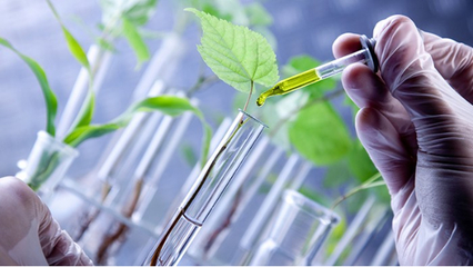 里貝里生物科技引進創新技術，引領水溶肥研發與生產新篇章