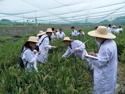 農業農村部科技發展中心 引領農業科學研究和試驗發展的新征程